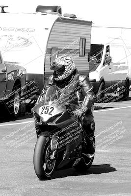 media/Mar-12-2022-SoCal Trackdays (Sat) [[152081554b]]/Around the Pits/